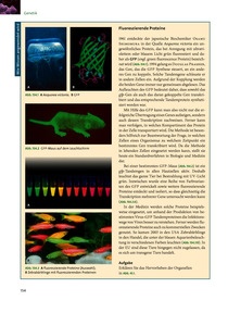 Wie Wissen angewendet wird "Fluoreszierende Proteine" S. 154