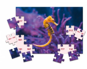 Puzzle Seepferdchen