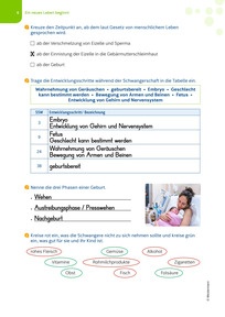 Produktabbildung zu Lösungen zm Förderheft