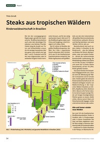 Produktabbildung zu Steaks aus tropischen Wäldern - Rinderweidewirtschaft in Brasilien