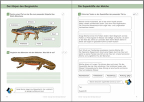 Beispielseiten 6 und 7: Der Körper des Bergmolchs & Die Superkräfte der Molche