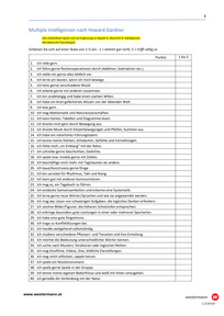 Produktabbildung zu 5264_122_1_Test Howard Gardner_Lahmer_2025.pdf