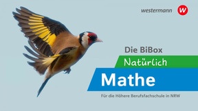 Produktabbildung zu Natürlich Mathe für die Höhere Berufsfachschule NRW BiBox