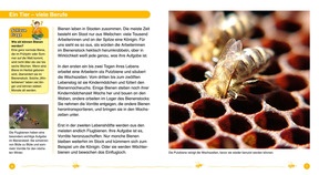 Schauen und Wissen: Die Biene