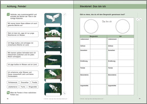 Beispielseite 16-17: Die Feinde des Bergmolchs