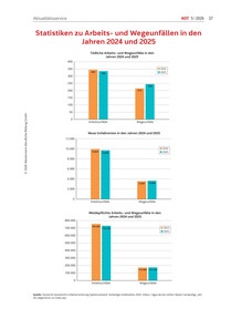 Produktabbildung zu Statistiken zu Arbeits- und Wegeunfällen in den Jahren 2024 und 2025 - Ausgabe 05/2026