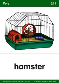 Flashcard 211