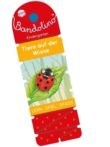 132924-Bandolino.jpg