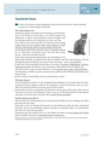 Produktabbildung zu Arbeitsblätter zur Zeichensetzung - Klasse 5/6 inkl. Lösungen