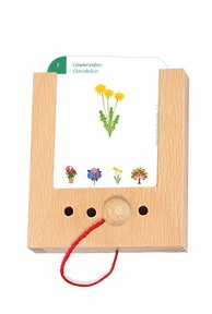 Beispielkarte - Kleine Naturforscher: Löwenzahn