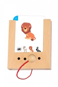 Tiere erkennen: Beispiel Löwe