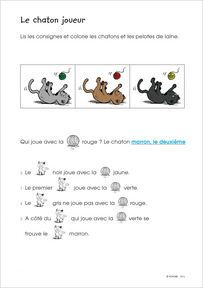Le chaton joueur - solution