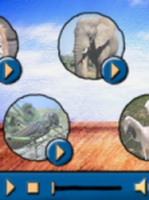 Produktabbildung zu Giraffe - Geräusche der Savanne - Download-Spiel für die Frühe Bildung