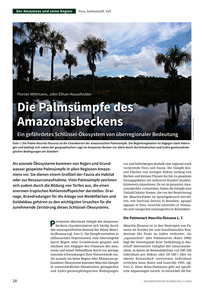 Produktabbildung zu Die Palmsümpfe des Amazonasbeckens - Ein gefährdetes Schlüssel-Ökosystem von überregionaler Bedeutung