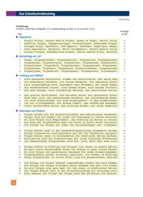 Produktabbildung zu Das Schnellschreibtraining