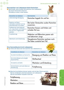 Produktabbildung zu Lösungen zum Förderheft