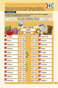 Einzahl und Mehrzahl