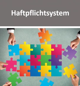 Produktabbildung zu Haftpflichtsystem CH - Kostenloses Video