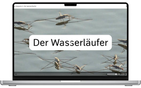Grundschulkiste WASSER I - BiBox: Video zu Sequenz 5 (Wasseroberfläche)
