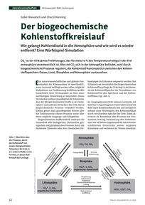 Produktabbildung zu Der biogeochemische Kohlenstoffkreislauf - Wie gelangt Kohlendioxid in die Atmosphäre und wie wird es wieder  entfernt? Eine Würfelspiel-Simulation.