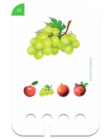 2+ Früchte erkennen Beispiel 3.png