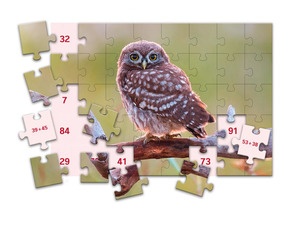 Beispielpuzzle Eule