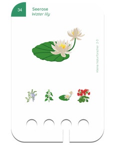 Beispielkarte - Kleine Naturforscher: Seerose