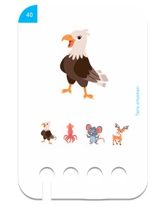 Tiere erkennen: Beispiel Adler