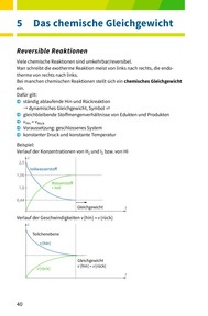 Das chemische Gleichgewicht