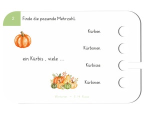 Beispielkarte «Mehrzahl»