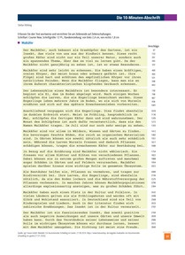 Produktabbildung zu Maikäfer - Ausgabe 05/2026