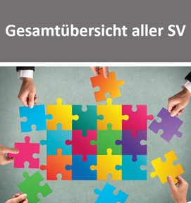 Produktabbildung zu Gesamtübersicht aller SV CH - Kostenloses Video