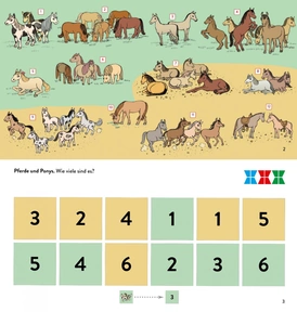 Pferde und Ponys. Wie viele sind es?