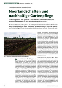 Produktabbildung zu Moorlandschaften und nachhaltige Gartenpflege - Torfhaltige Erde war gestern – wie man mit umweltfreundlicher Blumenerde den Erhalt der Moore beeinflussen kann