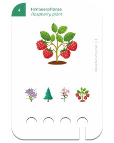 Beispielkarte - Kleine Naturforscher: Himbeerpflanze