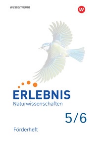 Produktabbildung zu Lösungen zum Förderheft