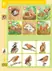 Welcher Vogel wohnt in welchem Nest?