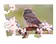 Beispielpuzzle Eule