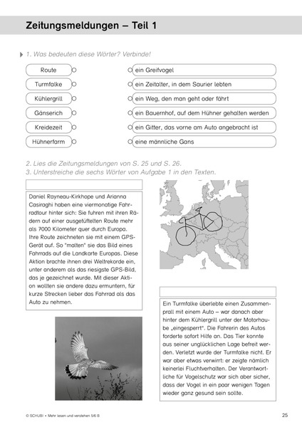 Mehr... Lesen Und Verstehen 5/6 Band B - Aufgaben Für Das Leseverstehen ...