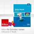 Spektrum Physik 5/6