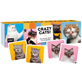 Memo-Spiel: Crazy cats!