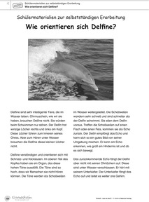 Produktabbildung zu Die KiNT-Boxen - Klassenkisten III: Schall - was ist das? - Der Unterrichtsordner