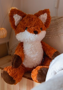 Abbildung zur Reihe Freddy der Fuchs