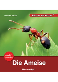 Produktabbildung zu Die Ameise