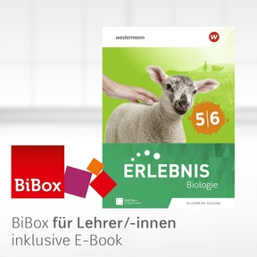 Produktabbildung zu Erlebnis Biologie - Allgemeine Ausgabe 2025 - BiBox - Das digitale Unterrichtssystem 5/6 - Kollegiumslizenz für Lehrer/-innen (Dauerlizenz)