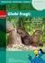Produktabbildung zu Globi fragt: Welches Tier hat Zähne aus Eisen? - Biber - Beobachten - Entdecken - Handeln