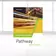 Produktabbildung zu Pathway Advanced - Gymnasiale Oberstufe - Ausgabe Mitte und Ost - Digitales Prep & Practice Book Qualifikationsphase
