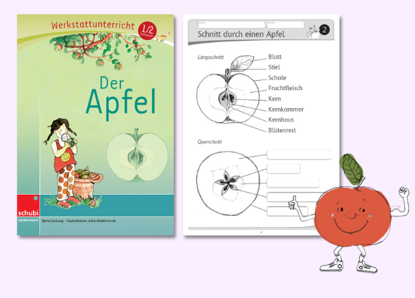 Werkstatt Apfel fürs 1. und 2. Schuljahr